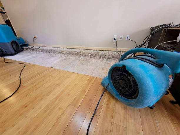 Professional Basement Flood Cleanup technician working in Larsen, WI